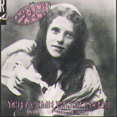 Bevis Frond : The Auntie Winnie Album